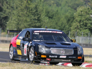 Картинка спорт авторалли