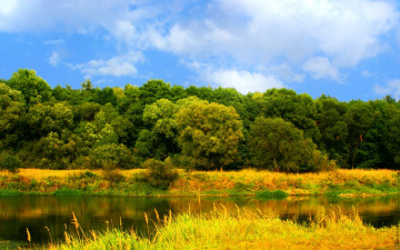 Картинка природа реки озера