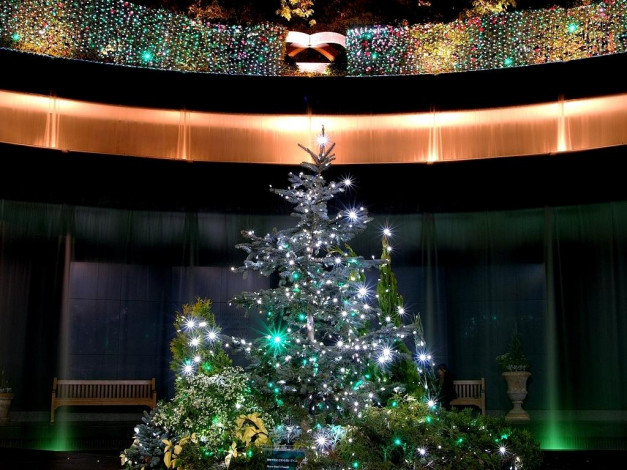 Обои картинки фото праздничные, Ёлки