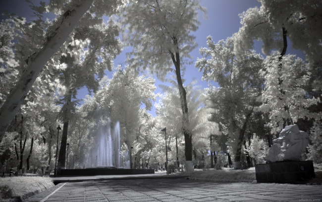 Обои картинки фото природа, зима