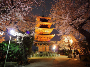 Картинка токио города Япония