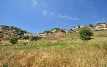 Картинка природа другое