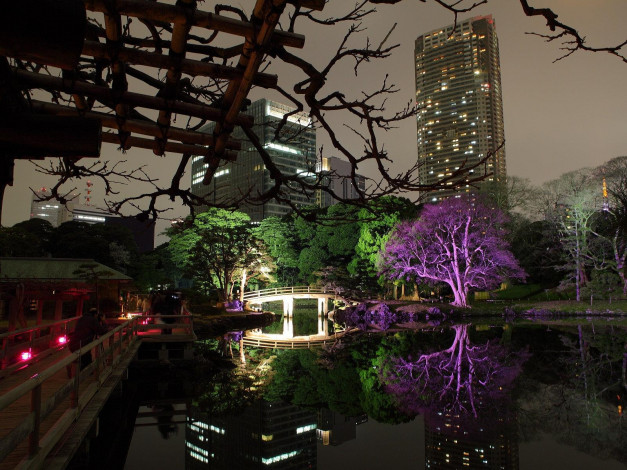 Обои картинки фото токио, города, Япония