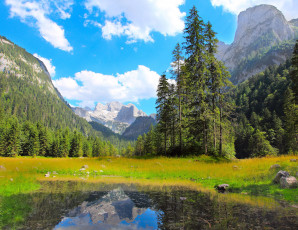 Картинка природа пейзажи горы деревья