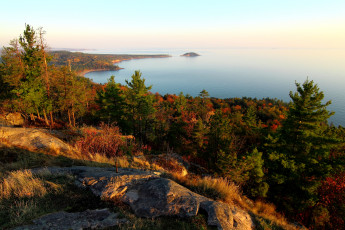 Картинка природа побережье вода осень деревья