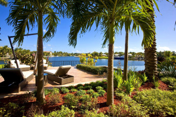 Картинка природа тропики пальма