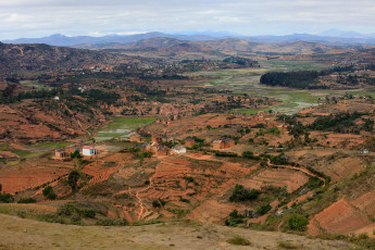 Картинка рисовые поля мадагаскар природа горы деревья