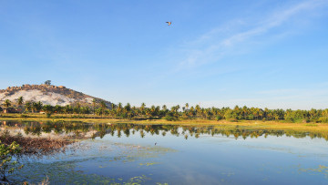 Картинка природа тропики вода пальмы