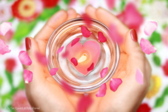 Картинка разное свечи пламя лепестки ладони