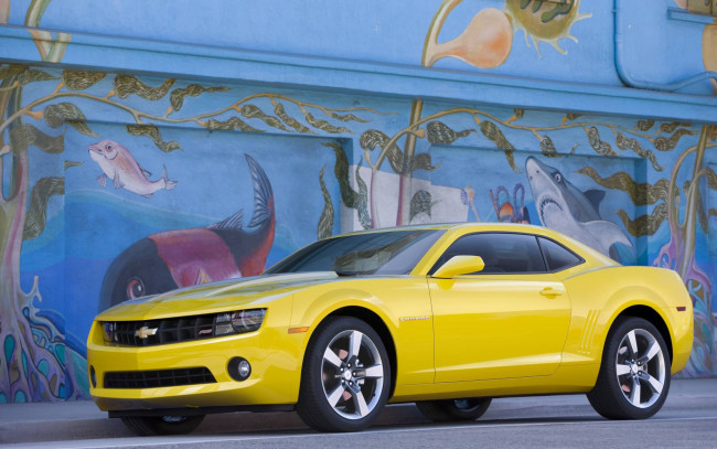 Обои картинки фото автомобили, camaro, chevrolet