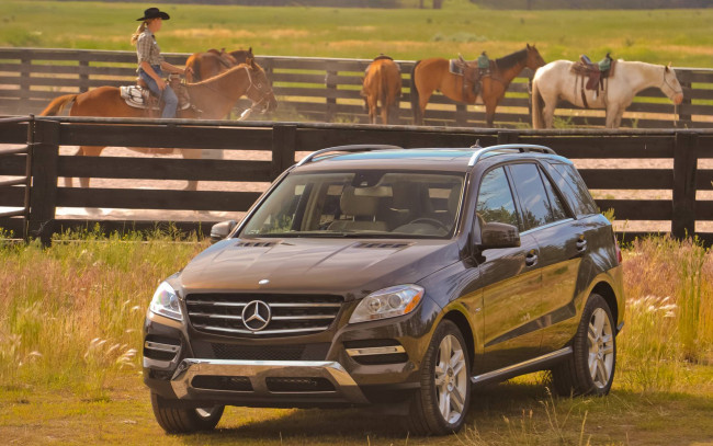 Обои картинки фото автомобили, mercedes, benz, mercedes-benz