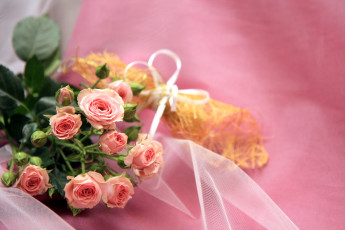 Картинка цветы розы нежность