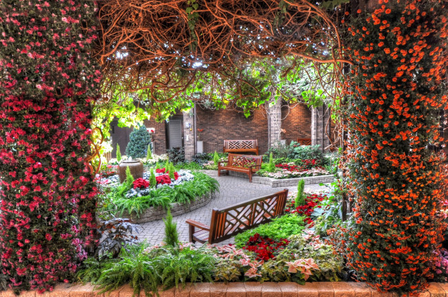 Обои картинки фото цветы, разные вместе, дворик