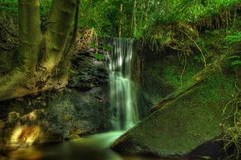 Картинка природа водопады водопад лес река