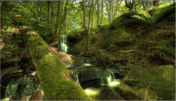 Картинка природа водопады лес река водопад