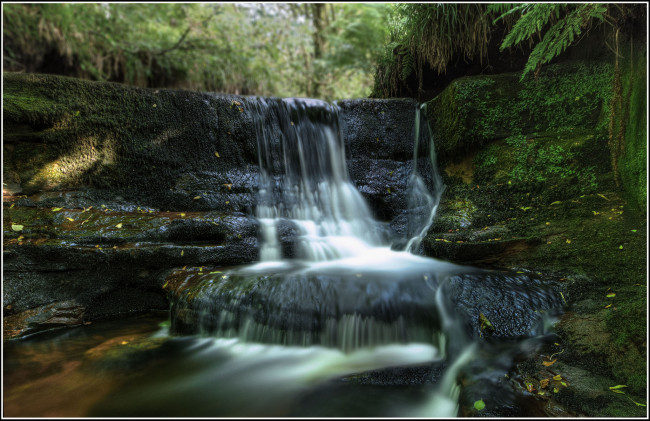 Обои картинки фото природа, водопады, река, лес, водопад