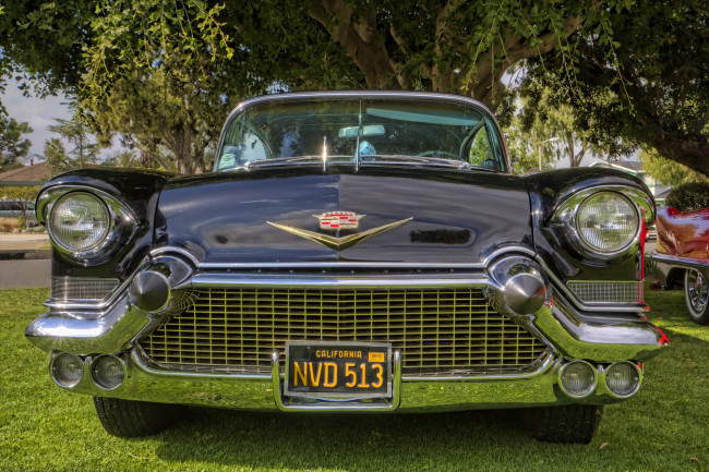 Обои картинки фото 1957 cadillac fleetwood, автомобили, выставки и уличные фото, выставка, автошоу