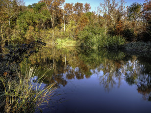 Картинка природа реки озера осень