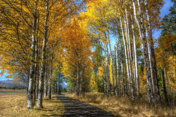 Картинка природа дороги осень