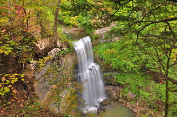 Картинка природа водопады лес водопад река