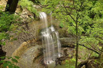 Картинка природа водопады водопад река лес