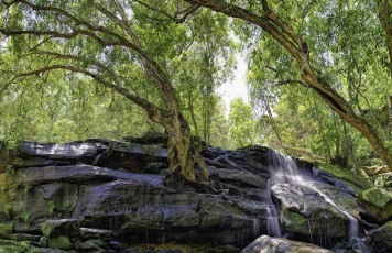 Картинка природа водопады водопад река лес