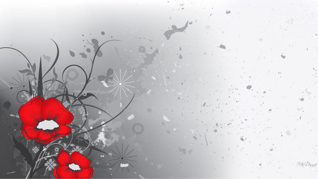 Обои картинки фото векторная графика, цветы , flowers, вектор, лепестки, рисунок, маки