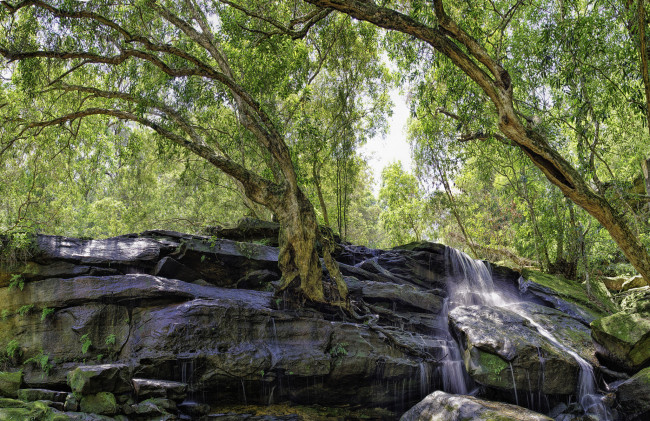 Обои картинки фото природа, водопады, водопад, река, лес