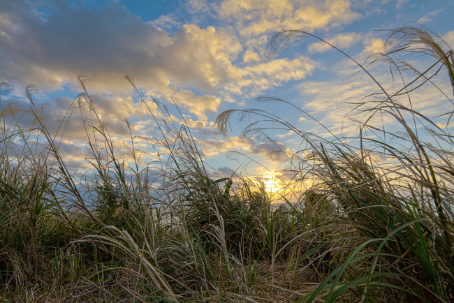 Обои картинки фото природа, восходы, закаты, рассвет