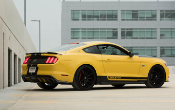 обоя автомобили, mustang