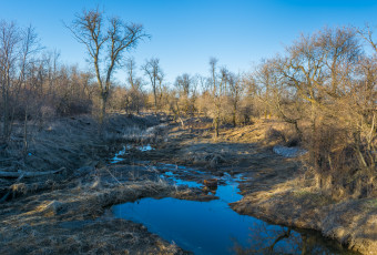 Картинка природа реки озера простор