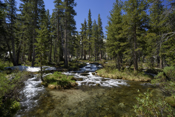 Картинка природа реки озера простор