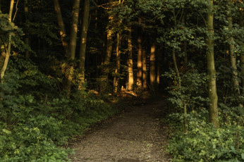 Картинка природа дороги простор