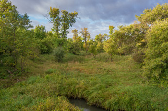 Картинка природа пейзажи простор