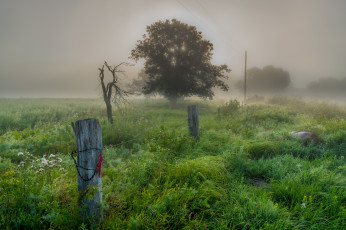 Картинка природа пейзажи простор