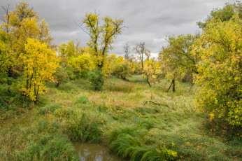 Картинка природа пейзажи простор