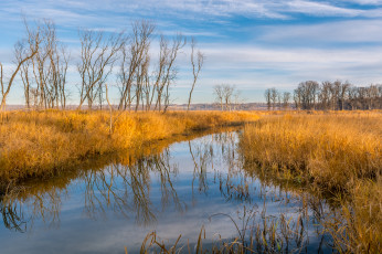 Картинка природа реки озера простор