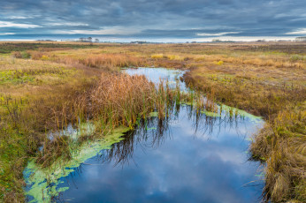 Картинка природа реки озера простор