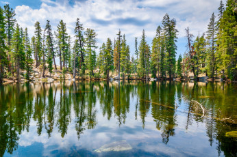 Картинка природа реки озера простор