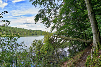 Картинка природа реки озера простор