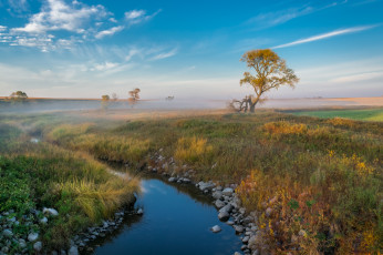 Картинка природа реки озера простор