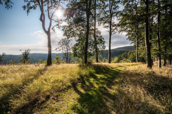 Картинка природа пейзажи простор