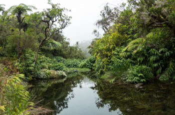 Картинка природа реки озера простор