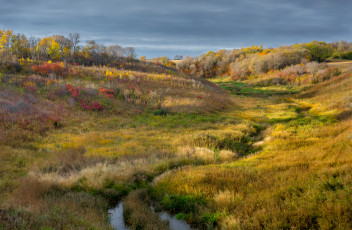 Картинка природа пейзажи простор