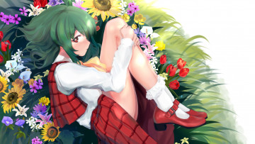 Картинка аниме touhou арт девочка kazami yuuka цветы