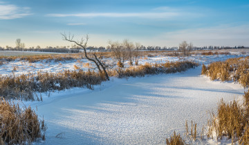 Картинка природа зима простор