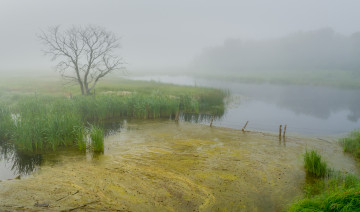 Картинка природа реки озера простор