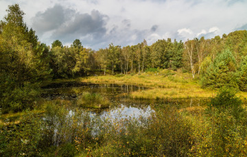 Картинка природа реки озера простор