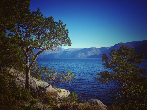 Обои картинки фото природа, побережье, простор