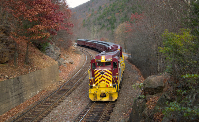 Обои картинки фото техника, поезда, состав, локомотив